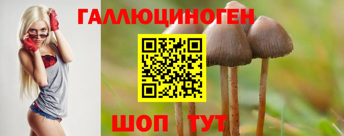 Псилоцибиновые грибы Magic Shrooms Шелехов
